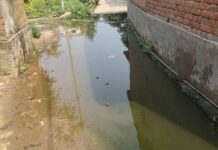 तुरकौलिया गांव में नरकीय जीवन जीने को मजबूर ग्रामीण, सड़क बनी तालाब