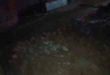 महरौनी में मकान की दीवार गिराकर महिला की हत्या के प्रयास का आरोप, मंगलसूत्र छीनने की शिकायत